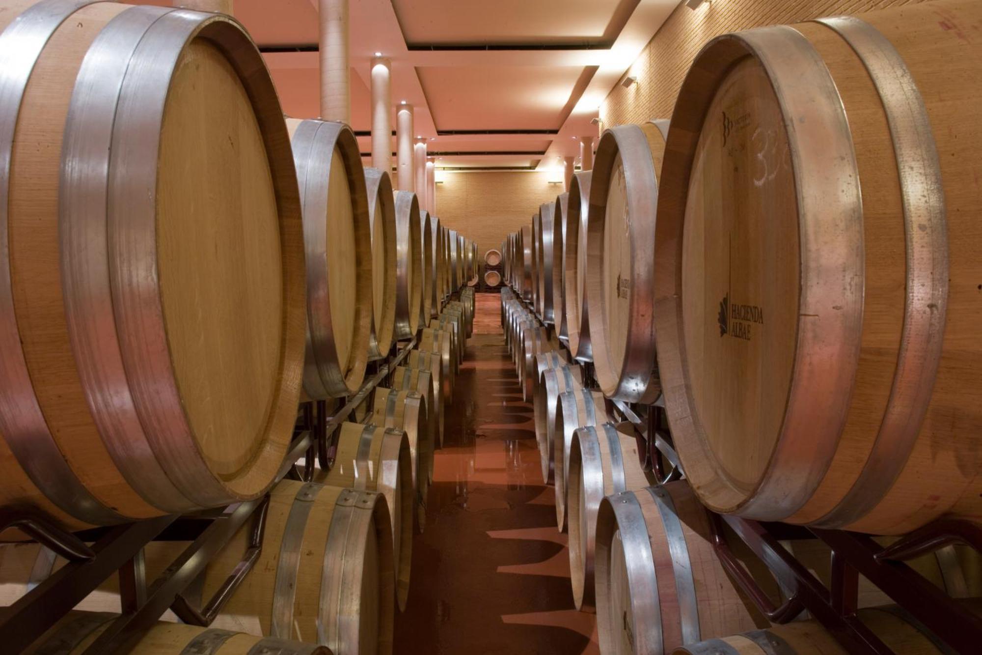 Bodegas Hacienda Albae Guest House Argamasilla De Alba Luaran gambar